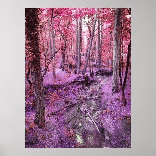 ピンクワンダーランド ポスター (正面)