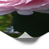 ピンクヴィンテージキャベツバラ自然ガーデンポスター ポスター (角)