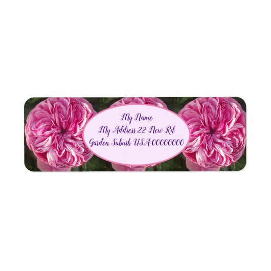 ピンクヴィンテージキャベツバラ花フローラ ラベル (正面)