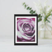 ピンクヴィンテージバラ ポストカード (スタンド正面)