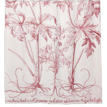 ピンクヴィンテージ植物芸術