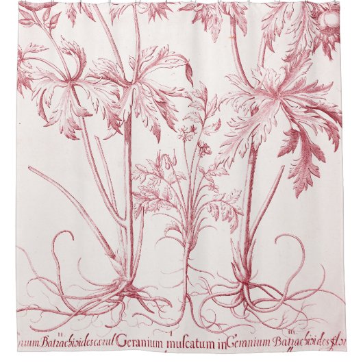 ピンクヴィンテージ植物芸術 シャワーカーテン (正面)