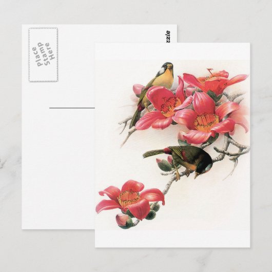 ピンク中毒 ポストカード (正面/裏面)