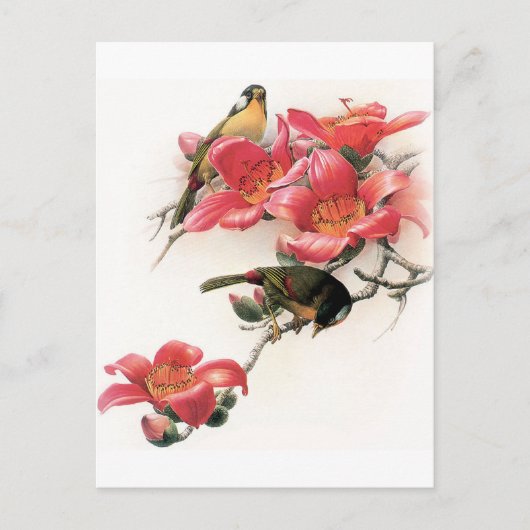 ピンク中毒 ポストカード (正面)