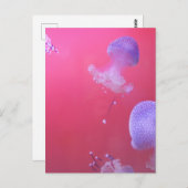 ピンク予測できなの水にクラゲ ポストカード (正面/裏面)