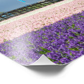 ピンク伝統的と紫の花を持つ風車 フォトプリント (角)