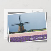 ピンク伝統的と紫の花を持つ風車 ポストカード (正面/裏面)