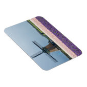 ピンク伝統的と紫の花を持つ風車 マグネット (右側)