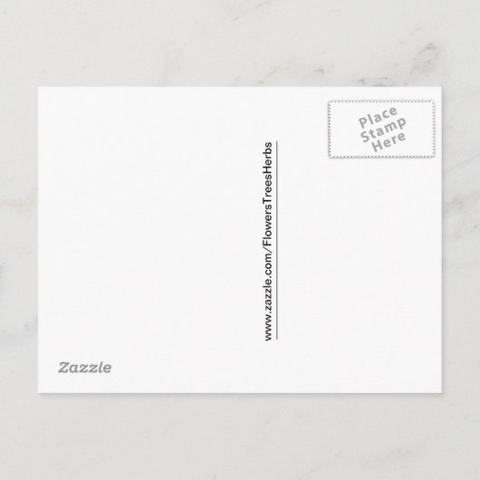 ピンク出血ハート婚約発表 案内ポストカード (裏面)