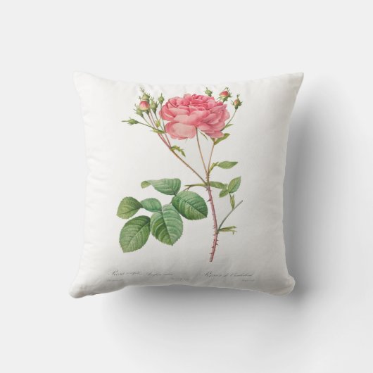 ピンク名門私立校風のローズフラワー装飾用クッション クッション (裏面)