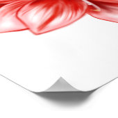 ピンク図解入りの、写真付きのと白のアマリリス ポスター (角)