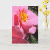 ピンク塊茎ベゴニアグリーティングカード カード (黄色い花)
