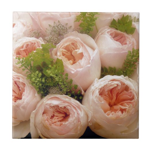 ピンク大切のバラ タイル (正面)