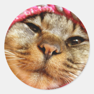 ピンク帽子のチャド ラウンドシール