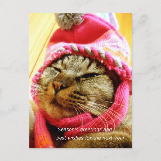 ピンク帽子のチャド(縦:年末年始のメッセージ付き) ポストカード (正面)