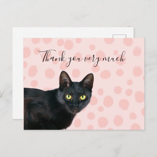 ピンク感謝していの点に黒猫が多い ポストカード (正面/裏面)