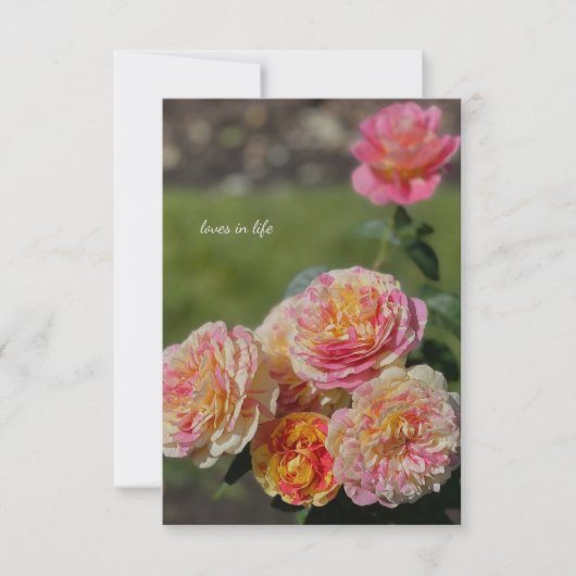 ピンク数々のと黄色のバラ ノートカード (正面)