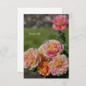 ピンク数々のと黄色のバラ ノートカード (正面/裏面)