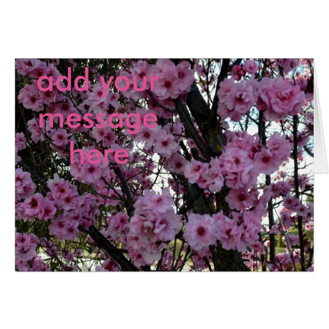 ピンク春の花の木 (正面横)