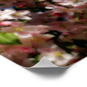 ピンク春花ブルースカイオートンエフェクト ポスター (角)