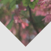 ピンク春花紙 薄葉紙 (詳細)