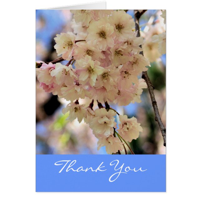 ピンク春花花花ありがとう (正面)