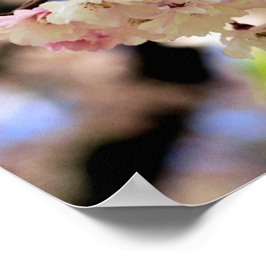 ピンク春花3 ポスター (角)