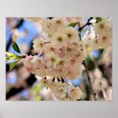 ピンク春花3 ポスター (正面)