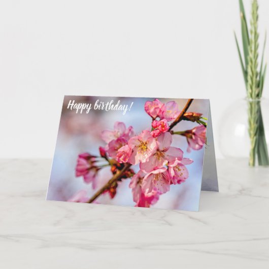 ピンク桜の花の優れた美しい春 カード (正面)