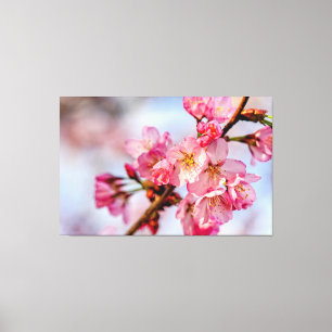 ピンク桜の花の優れた美しい春 キャンバスプリント