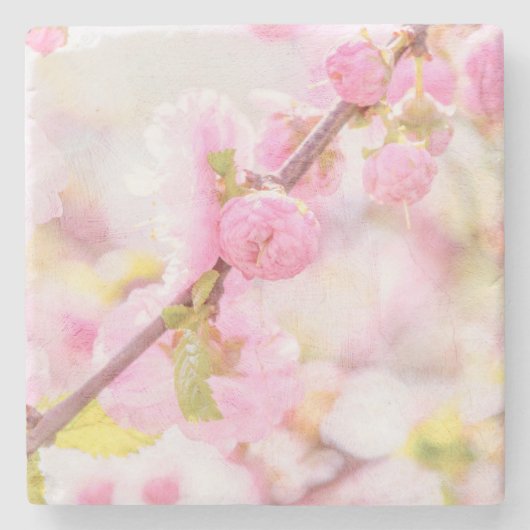 ピンク桜の花 – 日本のさくらんぼの花 ストーンコースター (正面)
