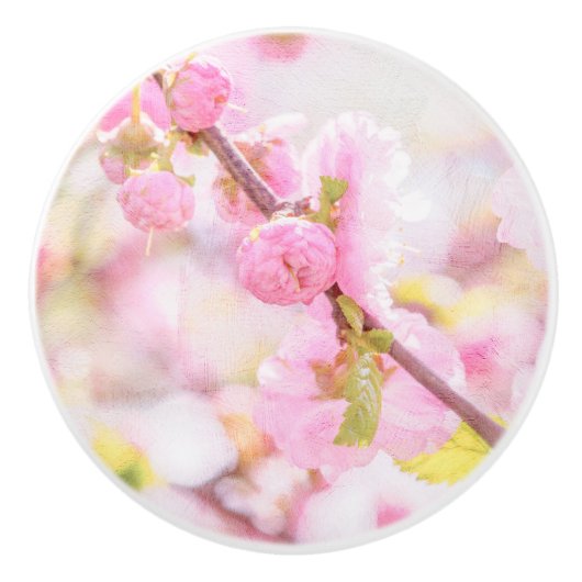 ピンク桜の花 – 日本のさくらんぼの花 セラミックノブ (正面)