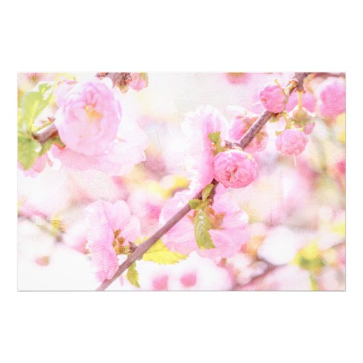 ピンク桜の花 – 日本のさくらんぼの花 フォトプリント            (正面)