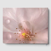 ピンク桜フラワーバースデーパーティーゲストブック ゲストブック (裏面)