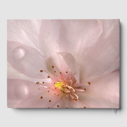 ピンク桜フラワーバースデーパーティーゲストブック ゲストブック (裏面)