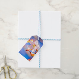 ピンク桜フラワーブルースカイ ギフトタグ