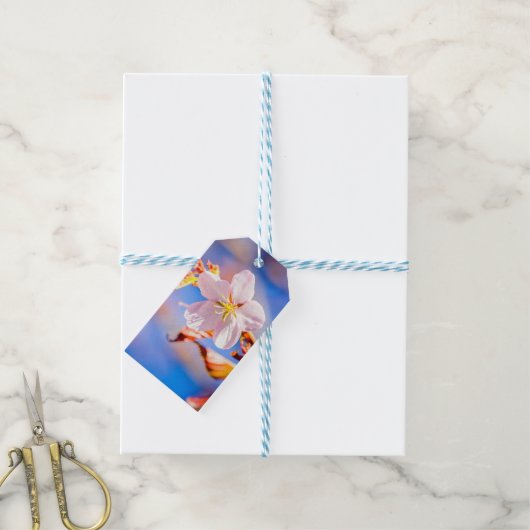 ピンク桜フラワーブルースカイ ギフトタグ (より糸付き)