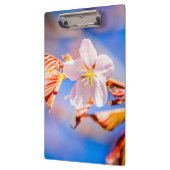 ピンク桜フラワーブルースカイ クリップボード (左)