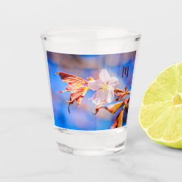 ピンク桜フラワーブルースカイ ショットグラス