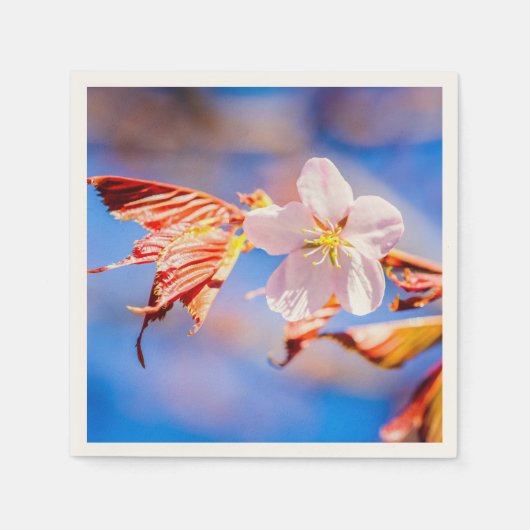 ピンク桜フラワーブルースカイ スタンダードカクテルナプキン (正面)