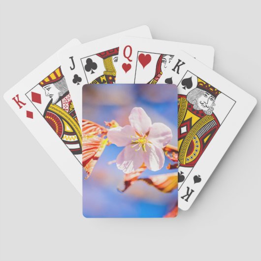 ピンク桜フラワーブルースカイ トランプ (裏面)