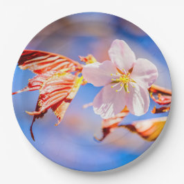 ピンク桜フラワーブルースカイ ペーパープレート