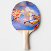 ピンク桜フラワーブルースカイ 卓球ラケット (正面)