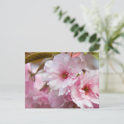 ピンク桜花 ポストカード (スタンド正面)