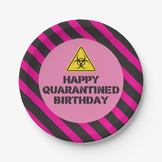 ピンク検疫の誕生日パーティープレート ペーパープレート (正面)