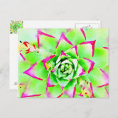 ピンク水彩多肉葉書 ポストカード (正面/裏面)