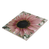 ピンク淡い色ののひまわり タイル (側面)