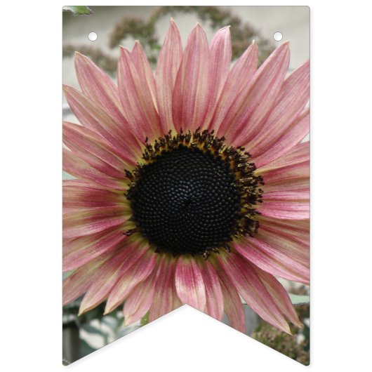 ピンク淡い色ののひまわり バンティングフラッグ (第1の旗)