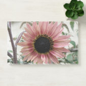 ピンク淡い色ののひまわり ポストイット (オフィス)