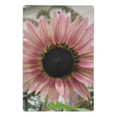 ピンク淡い色ののひまわり ミニクリップボード (裏面)